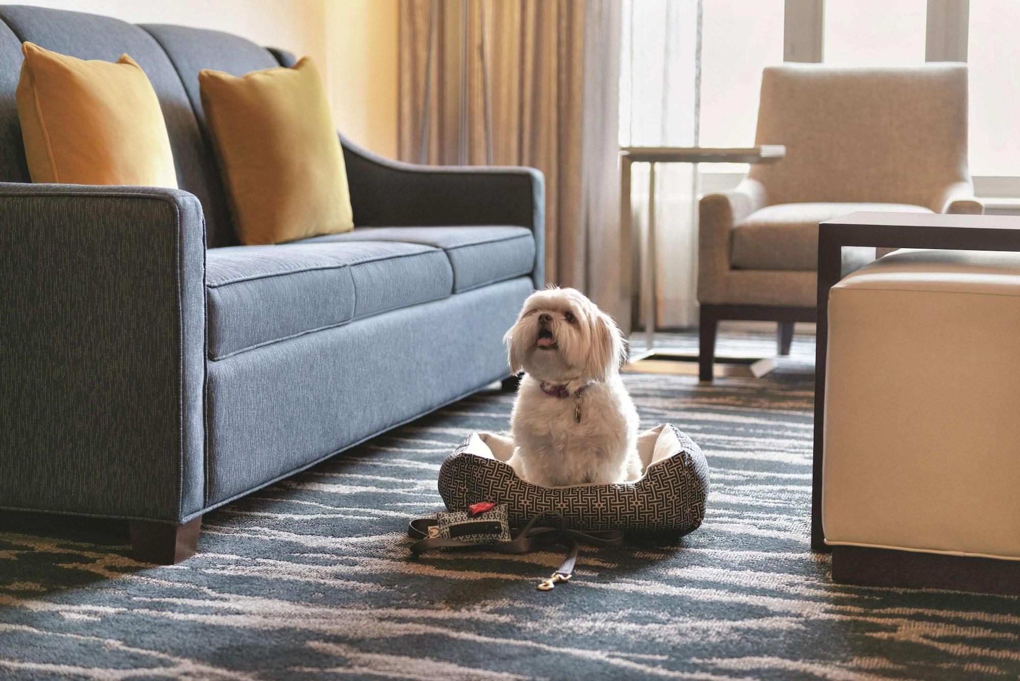 Homewood By Hilton-seattle Convention Center-pike Street 3*