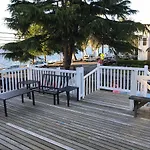 Alki Magpie