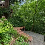 4Br With Firepit, Outdoor Dining And Yard Surrounded By Trees