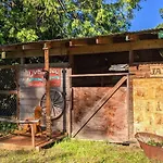 The Van Gogh Apartment - A Cozy, Creative Retreat
