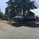 Alki Magpie