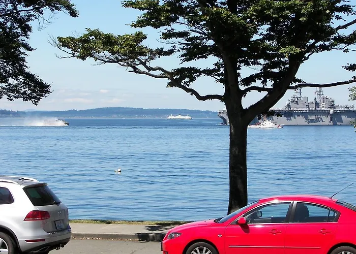Alki Magpie
