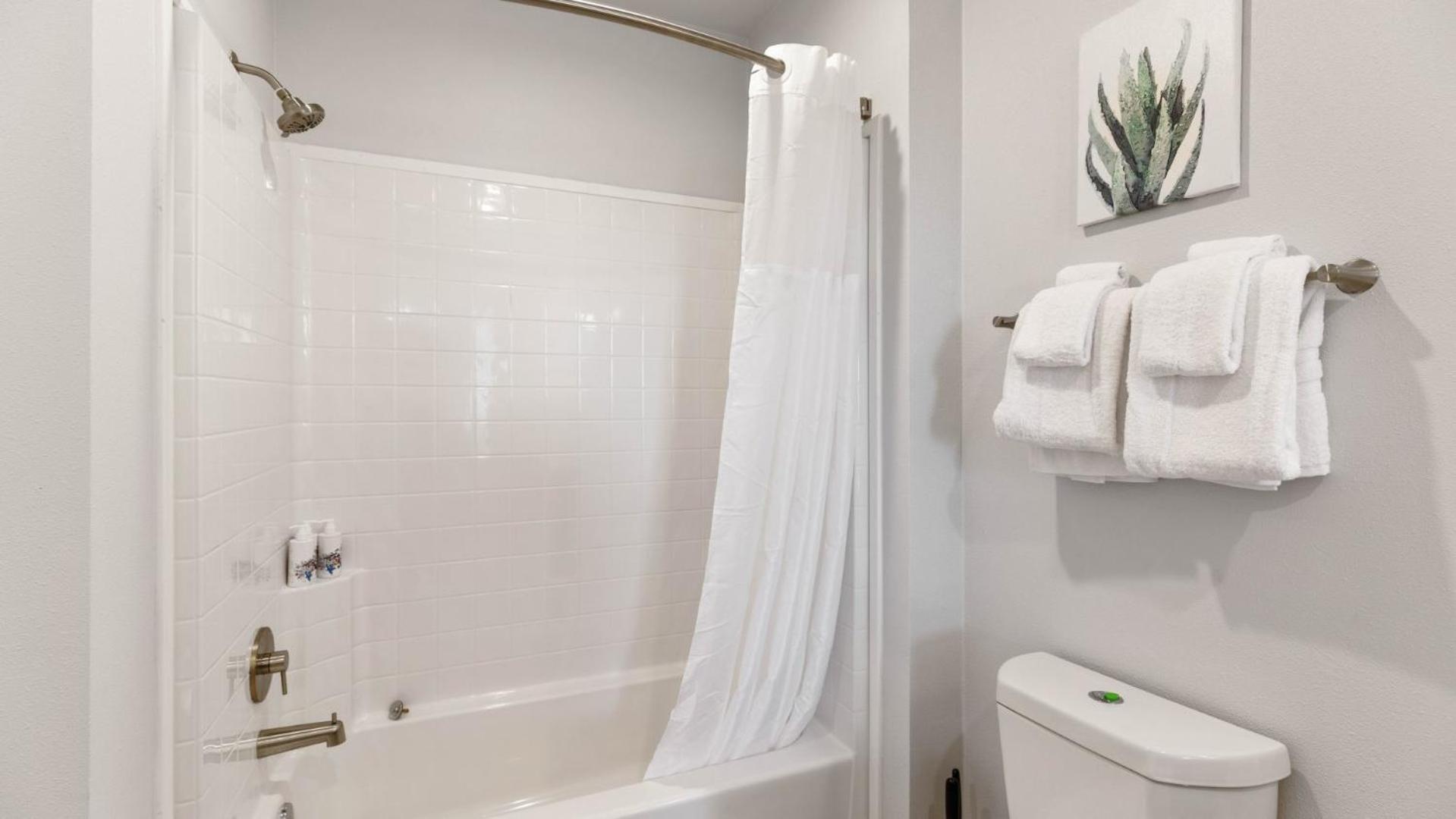 Luxury 1 Bedroom 1bath Convention Center Seattle