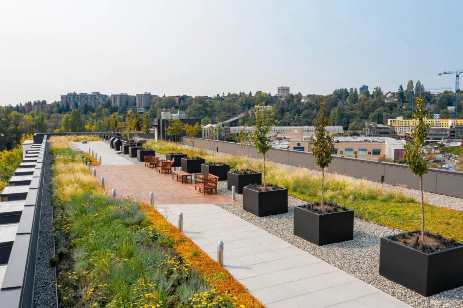 Apartment Blueground U-district Wd Nr Shops Parks Sea-735 Seattle
