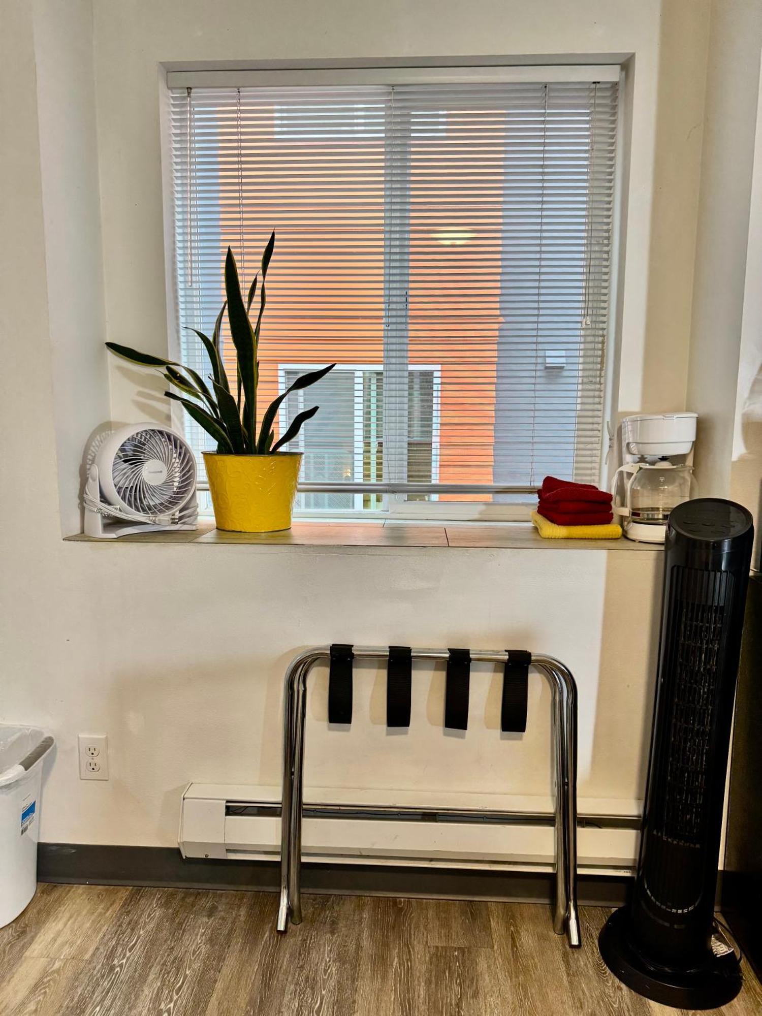 Micro 10 Minutes Walk To Of Washington Apartment *
