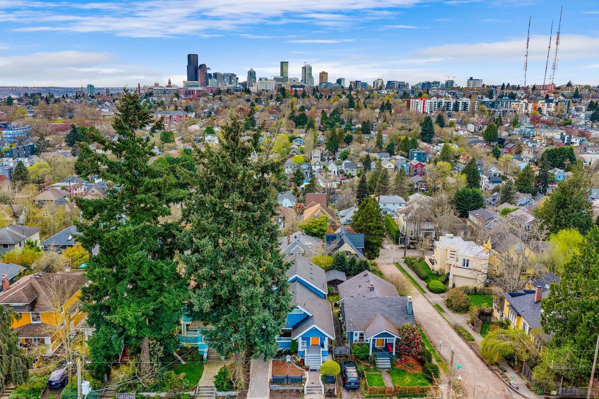 Madrona Bliss A Modern Escape Seattle