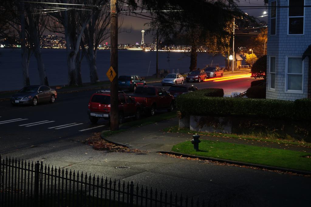 Alki Magpie Seattle