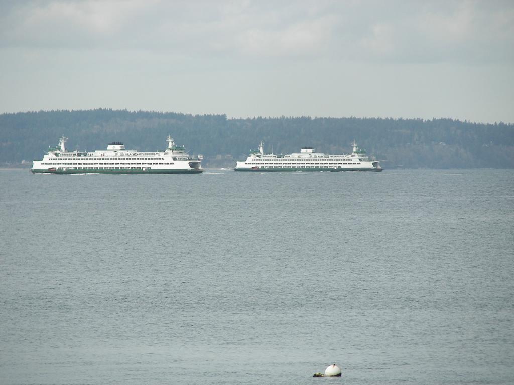 Alki Magpie Holiday home *