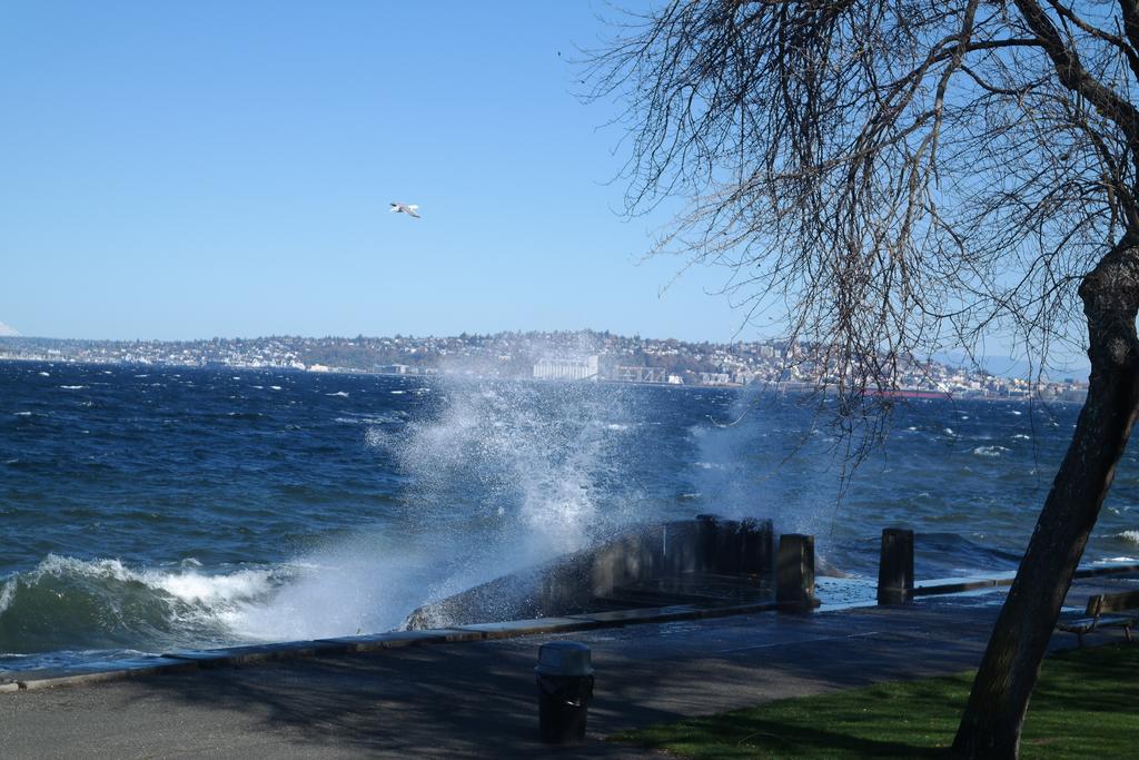 Alki Magpie Holiday home Seattle