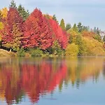 Greenlake Little Oasis- B