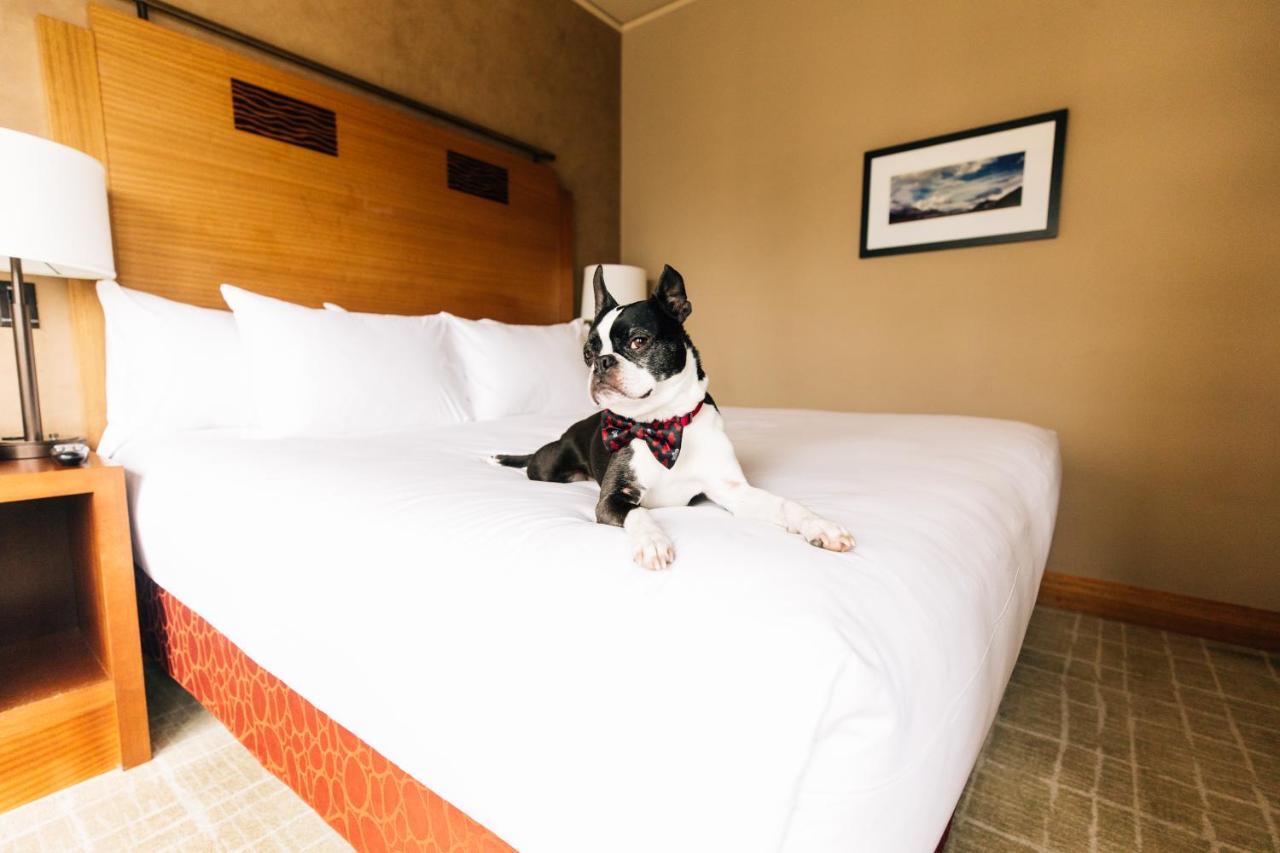 Grand Hyatt 5* Seattle