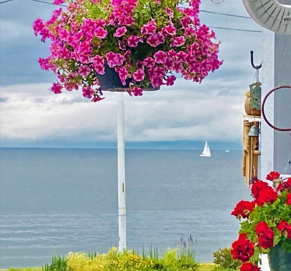 The Waterfront Gray On Alki
