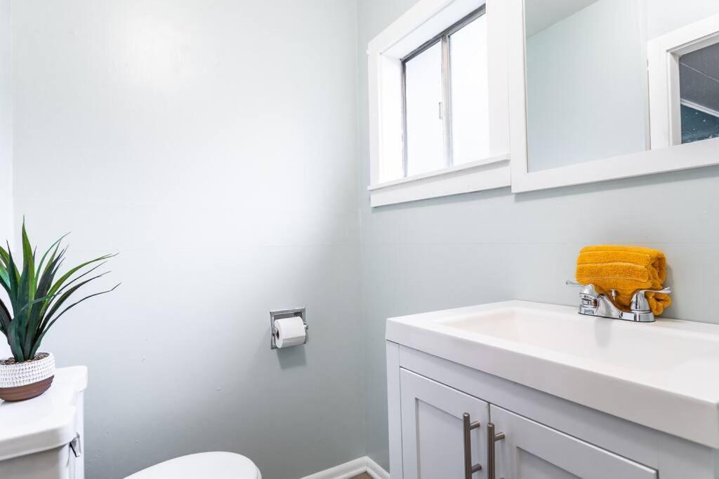Large Funky 2 Or 3 Bedroom Unit In Prime Location Seattle