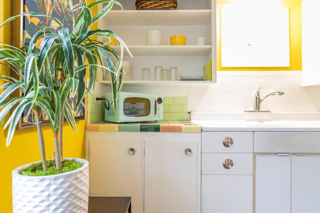 Large Funky 2 Or 3 Bedroom Unit In Prime Location