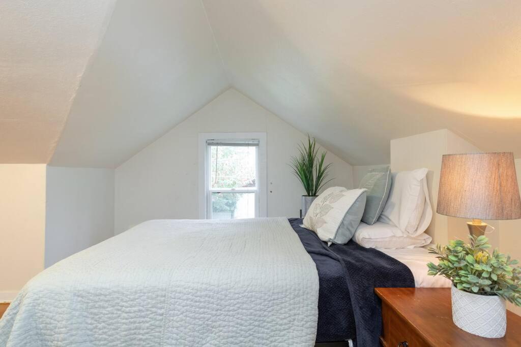 Large Funky 2 Or 3 Bedroom Unit In Prime Location Apartment *