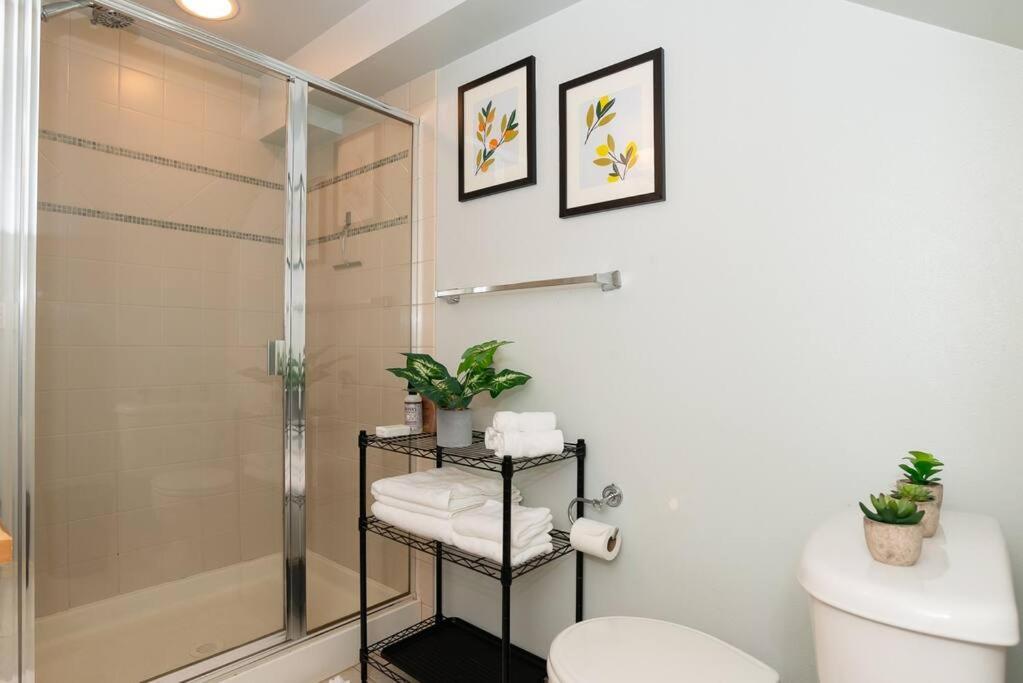 Snug Near Greenlake! Apartment *