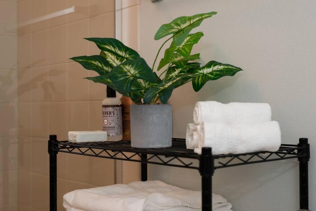 Apartment Snug Near Greenlake! *