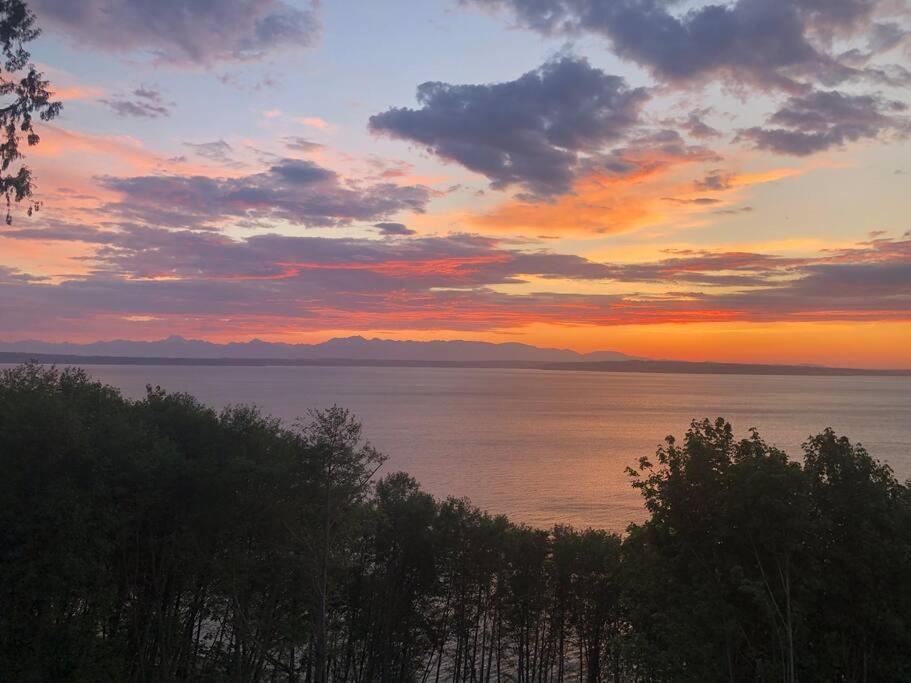 1-bedroom Seaview On Luxury Estate With Views Of Olympic Mountains Apartment