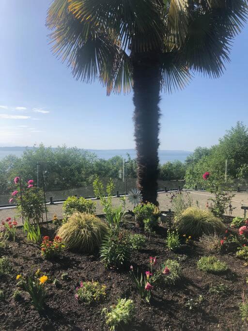 1-bedroom Seaview On Luxury Estate With Views Of Olympic Mountains * Seattle