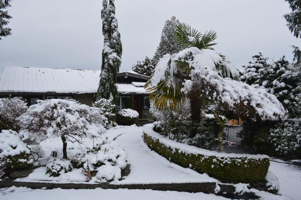 1-bedroom Seaview On Luxury Estate With Views Of Olympic Mountains Apartment