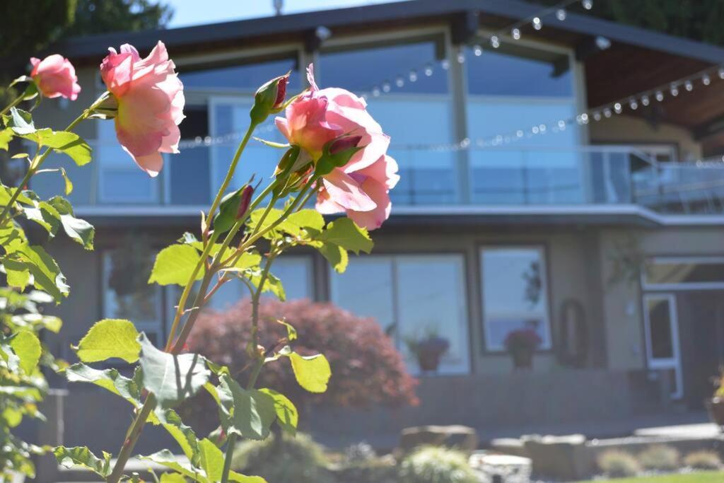 Apartment Romantic Spacious With Salish Sea & Mountain Views At Luxury Estate *