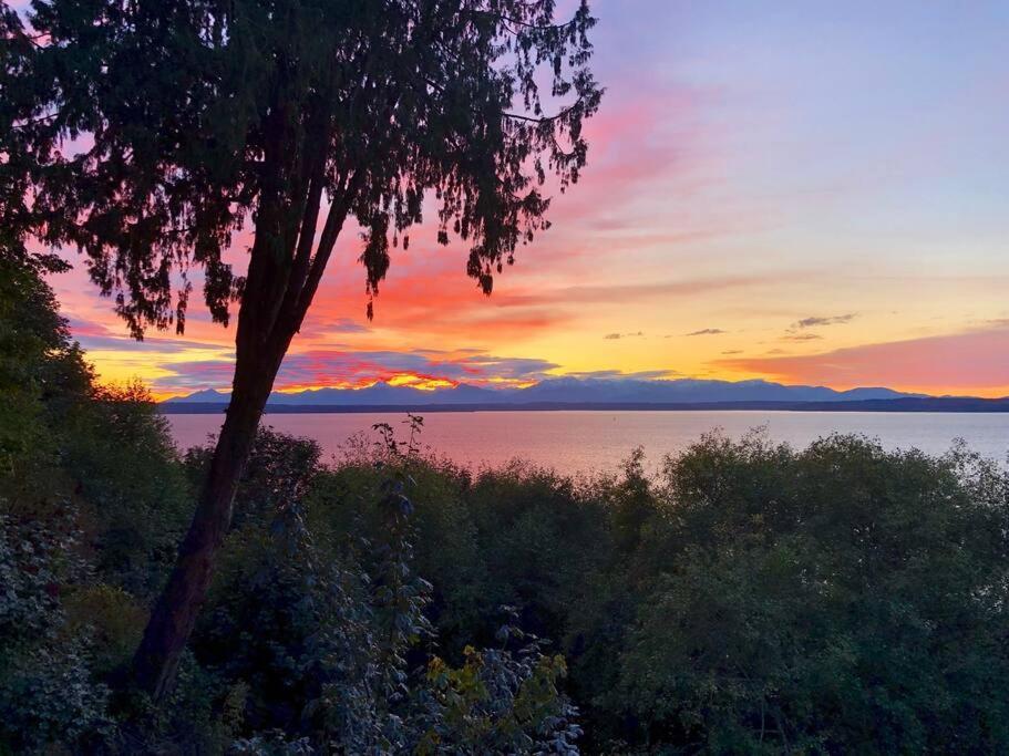 Romantic Spacious With Salish Sea & Mountain Views At Luxury Estate Apartment Seattle