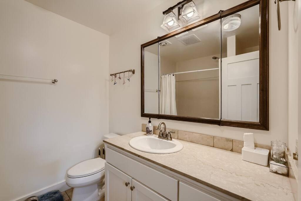 Apartment Prime Location Walk To Attractions W Free Parking