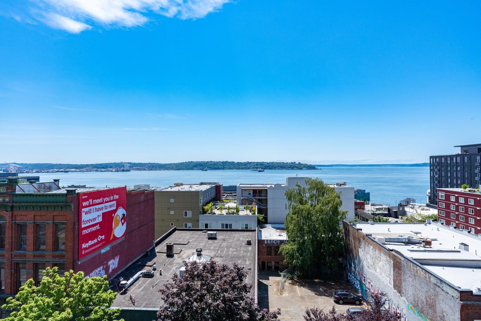 Among The Trees: In Belltown W/parking! *