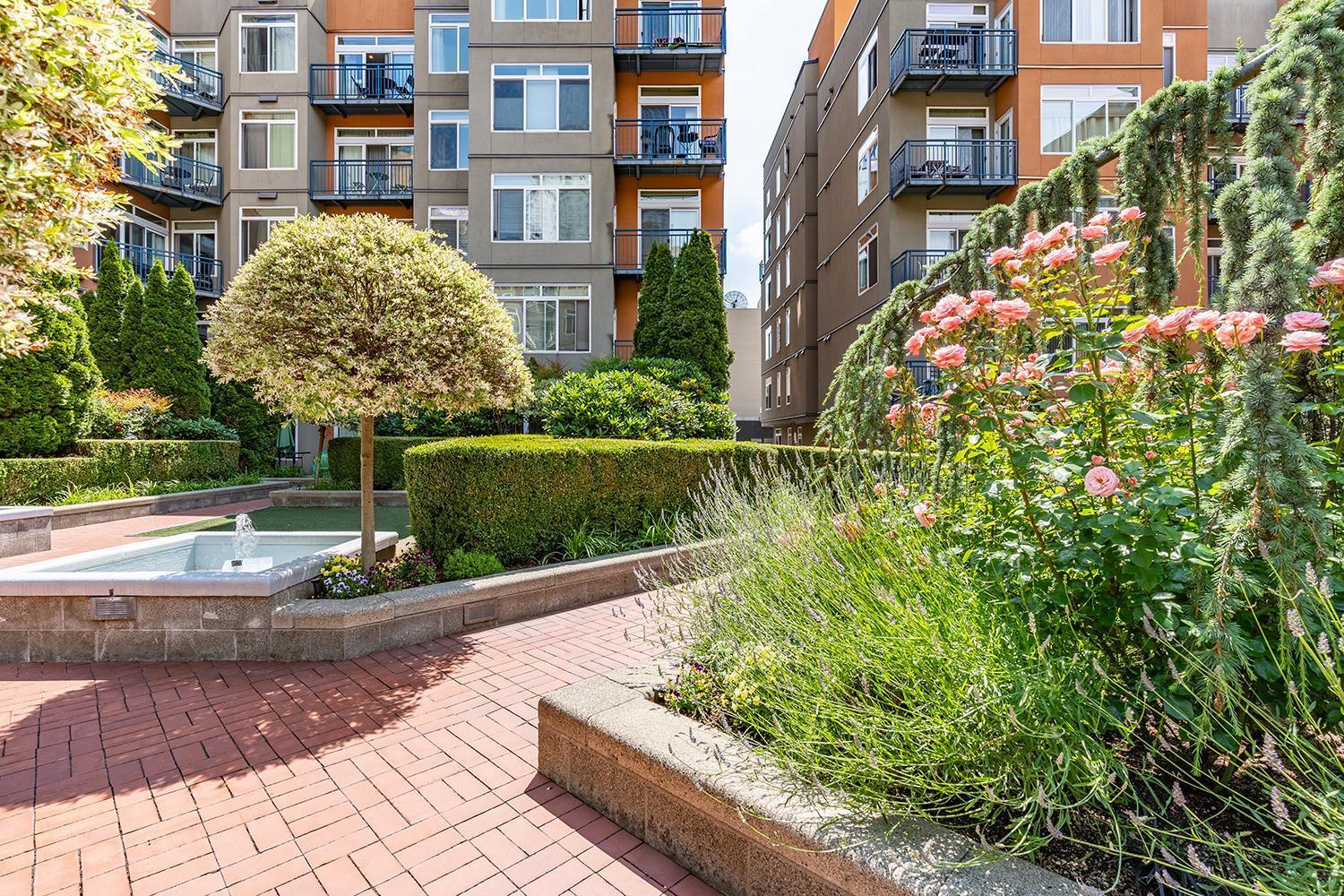 Among The Trees: In Belltown W/parking! Apartment *