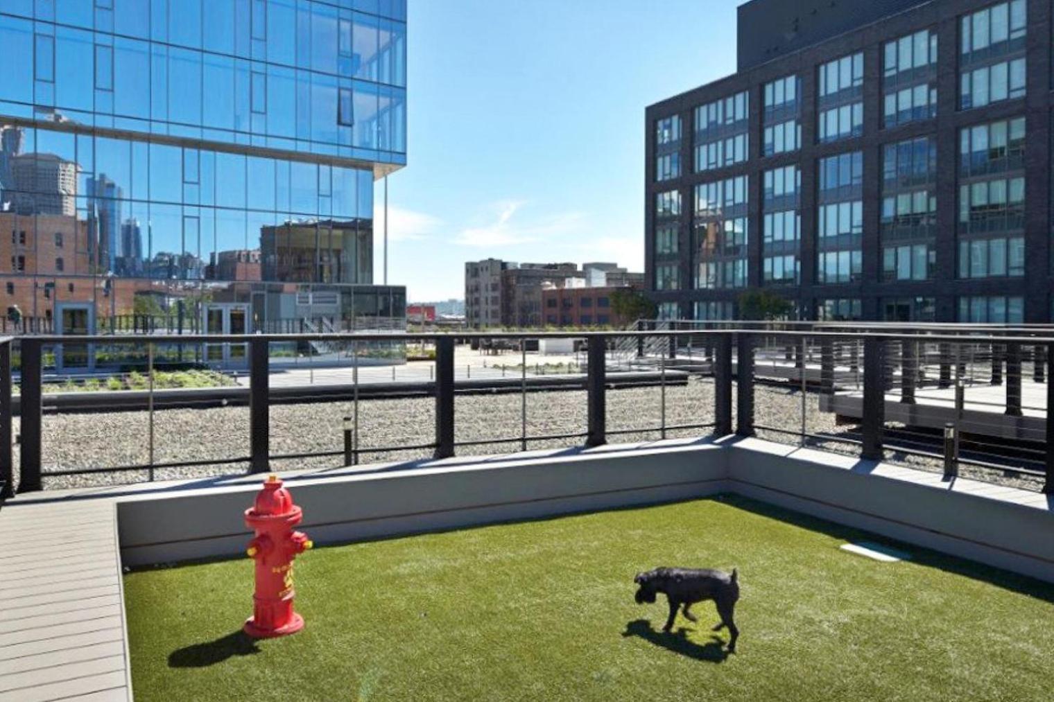 Pioneer Square W Lounge Gym Nr Bay Sea-587 Apartment
