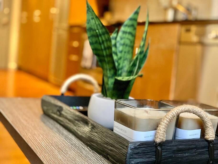 Apartment Waterfront Oasis In The Heart Of Downtown Seattle