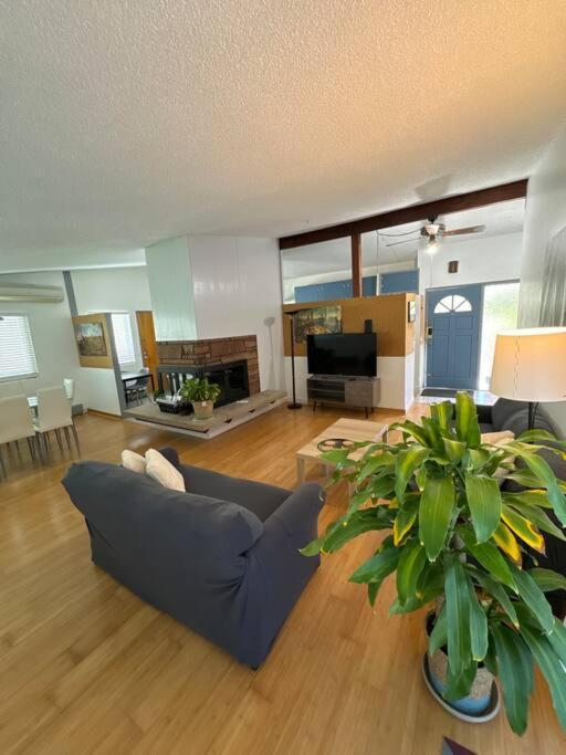 Entire 3 Bds 2 Bats Apartment *