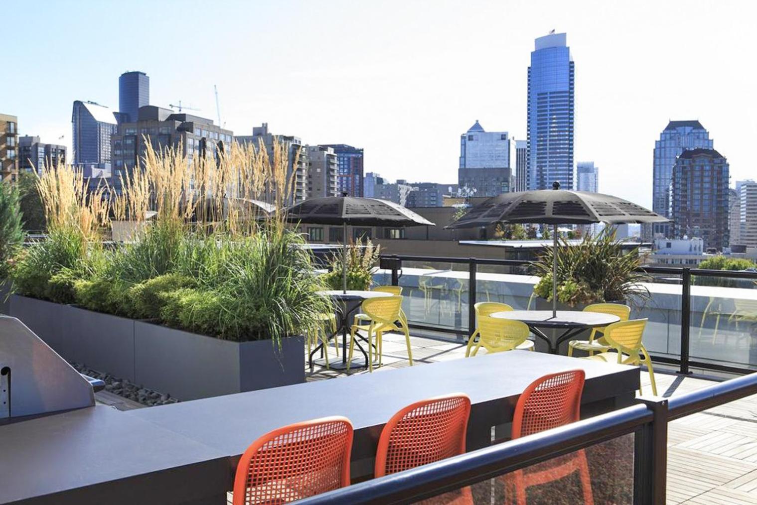 Blueground Capitol Hill Rooftop Wd Nr Park Sea-803