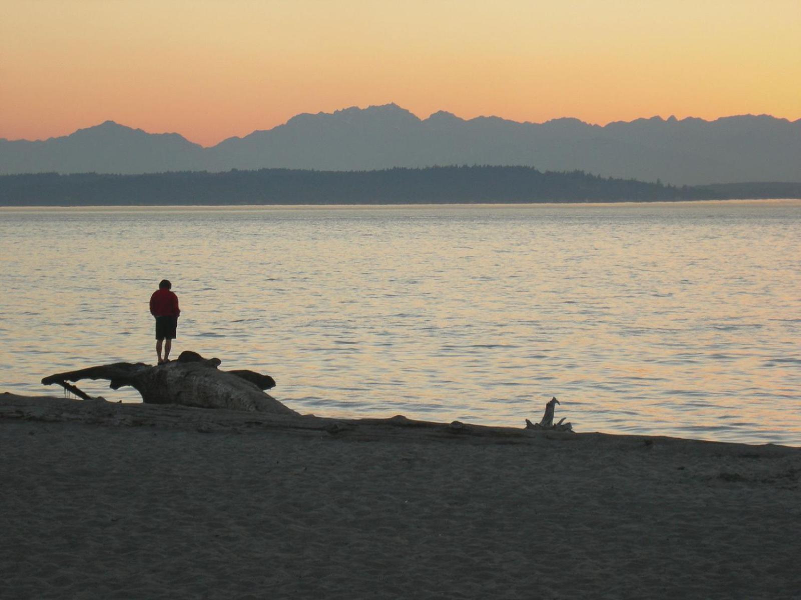 Steps To Alki With Water Views Rooftop Deck Holiday home Seattle