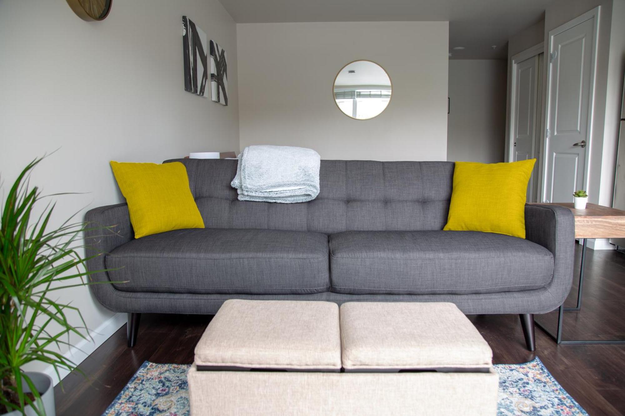Capitol Hill Modern With Free Parking! Apartment