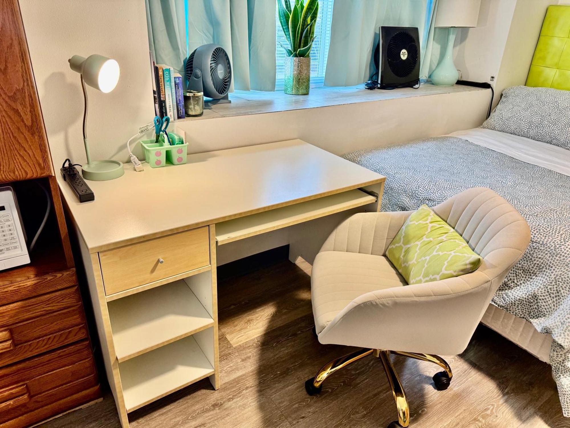Apartment Micro 10 Minutes Walk To Of Washington Seattle