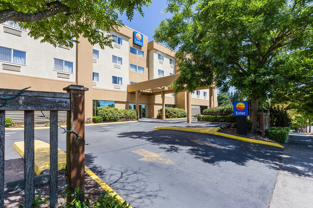 Comfort & North Hotel