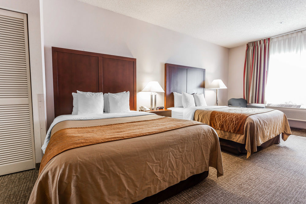 Hotel Comfort & North