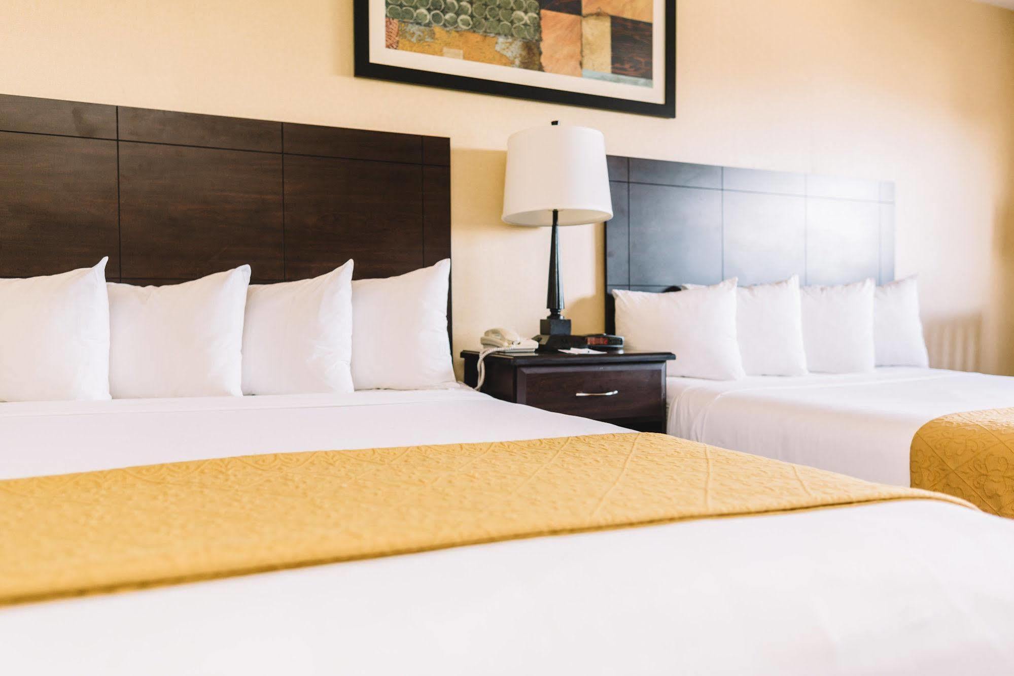 Quality & Center Hotel
