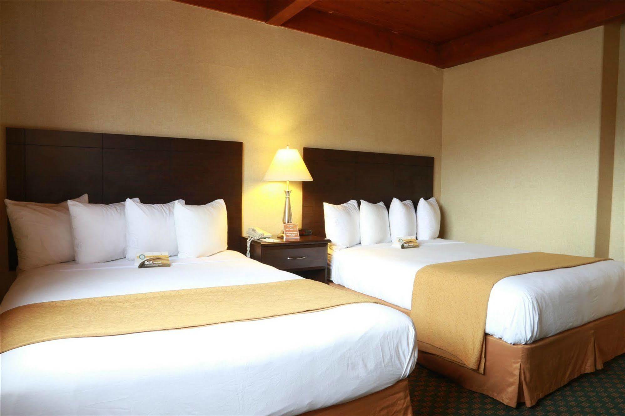 Hotel Quality & Center 3*