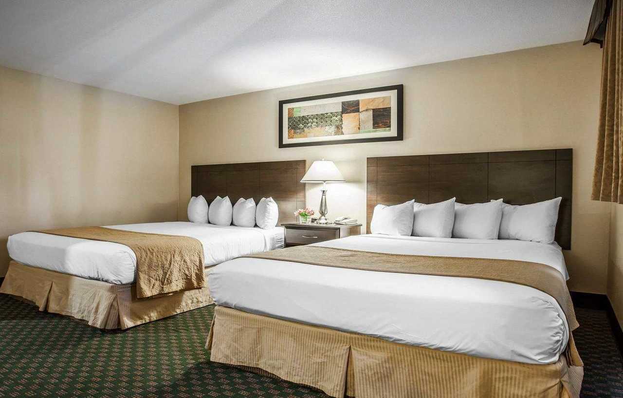 Quality & Center Hotel 3*