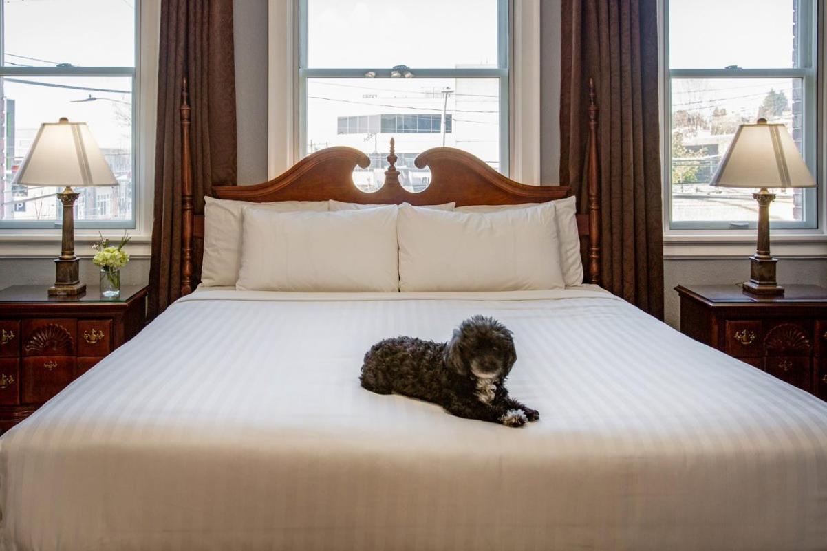 Hotel Marqueen 4*