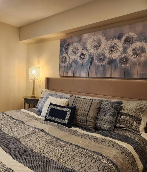 Apartment Cozy Contemporary 2br With Sofa Bed In The Office Seattle