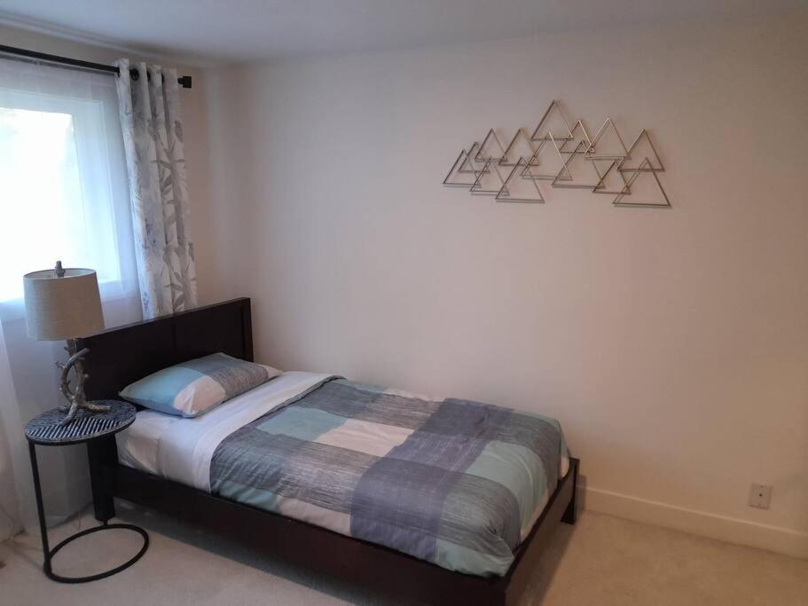 Apartment Cozy Contemporary 2br With Sofa Bed In The Office Seattle