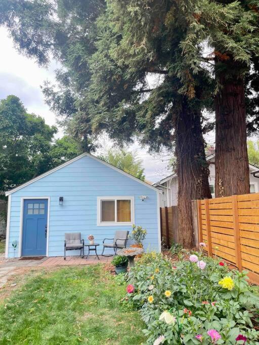 New Private Tiny Near Greenlake/lightrail/i-5