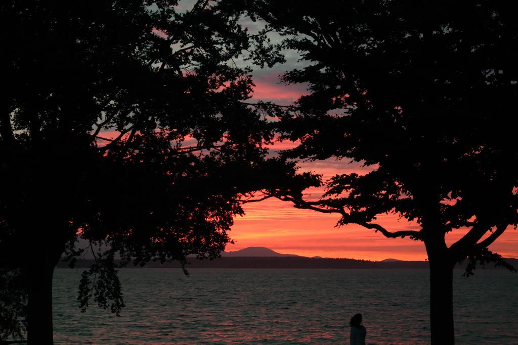 Alki Magpie Seattle