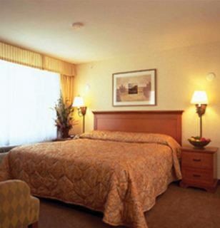 Comfort 3*